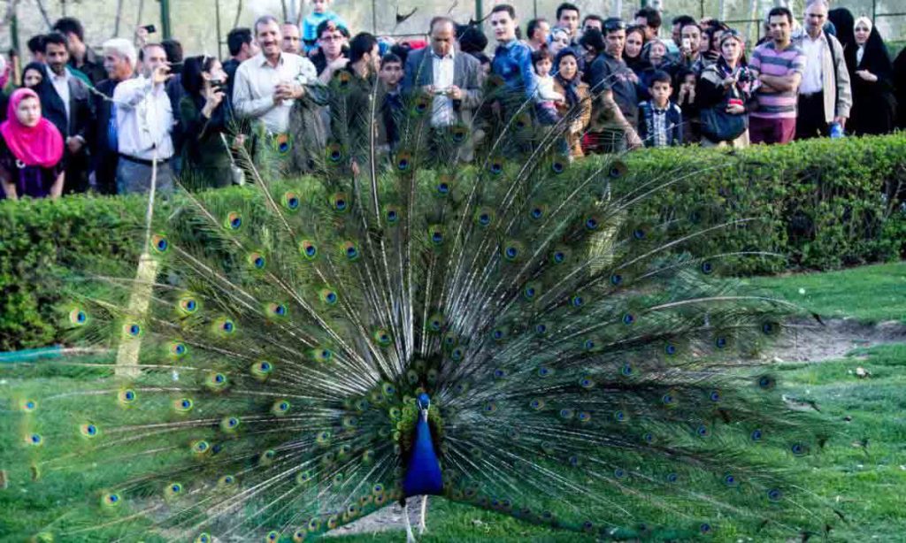 باغ پرندگان اصفهان